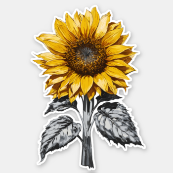Realistic Sunflower illustration Sticker